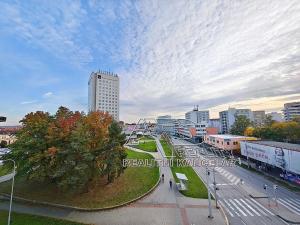 Pronájem bytu 2+kk, České Budějovice, Fráni Šrámka, 59 m2