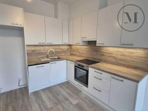 Pronájem bytu 1+kk, České Budějovice, Branišovská, 32 m2