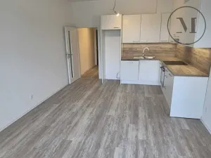 Pronájem bytu 1+kk, České Budějovice, Branišovská, 32 m2