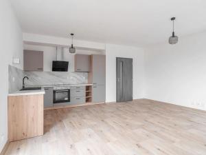 Pronájem bytu 2+kk, Heřmanova Huť, U Pondu, 60 m2