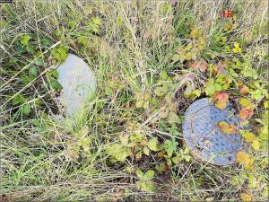 Prodej pozemku pro bydlení, Dolany nad Vltavou, Na Horkách, 1334 m2