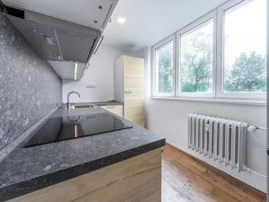 Prodej bytu 2+1, Ostrava, Mánesova, 55 m2