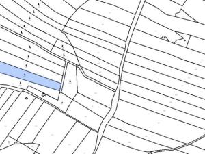 Prodej lesa, Mysletice, 7177 m2