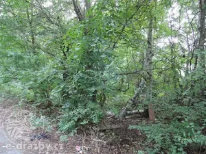 Dražba lesa, Kladno, 2465 m2