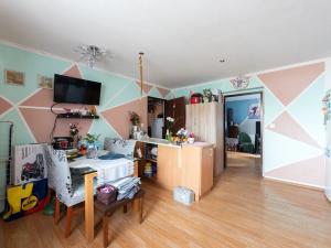 Prodej vícegeneračního domu, Nová Ves, 200 m2