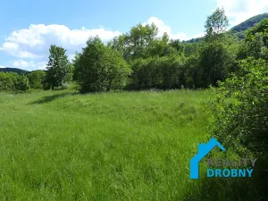 Pronájem zahrady, Malá Veleň, 3534 m2