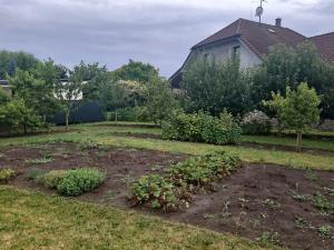 Pronájem rodinného domu, Olšany u Prostějova, 55 m2