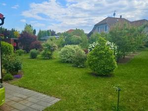 Pronájem rodinného domu, Olšany u Prostějova, 55 m2