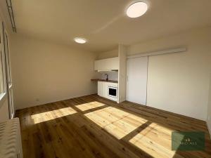 Prodej bytu 1+kk, Plzeň, alej Svobody, 36 m2