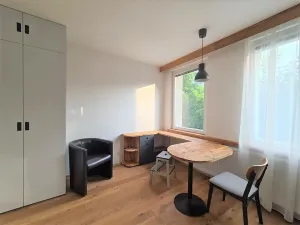 Prodej bytu 1+kk, Praha - Vinohrady, Perucká, 28 m2
