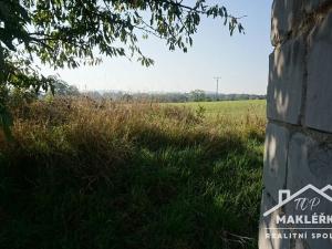 Prodej zahrady, Pašinka, 379 m2