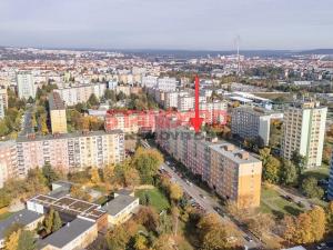 Prodej bytu 1+kk, Plzeň, Luďka Pika, 20 m2