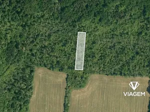 Prodej lesa, Dobrovice, 3778 m2