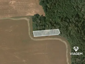 Prodej lesa, Šípy, 1093 m2