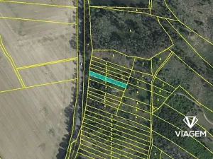 Prodej lesa, Petrůvky, 711 m2