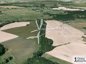 Prodej podílu lesa, Liptaň, 3143 m2