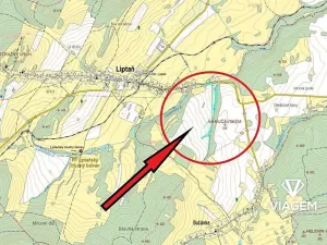 Prodej podílu lesa, Liptaň, 3143 m2