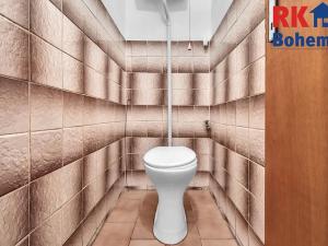 Prodej rodinného domu, Dolní Bousov, V Lipkách, 220 m2