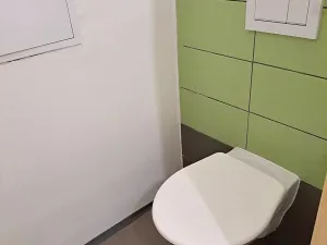 Pronájem bytu 1+1, Pardubice, Jana Palacha, 38 m2