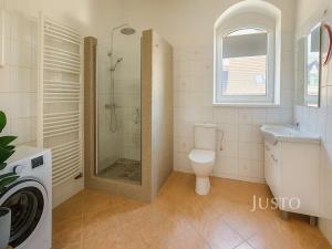 Prodej rodinného domu, Písek, Kocínova, 300 m2