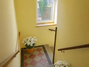 Prodej rodinného domu, Písek, Kocínova, 300 m2