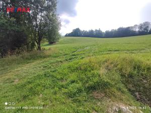 Prodej pozemku pro bydlení, Lipová-lázně, 22105 m2