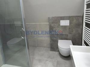 Pronájem bytu 1+kk, České Budějovice, nám. Přemysla Otakara II., 38 m2