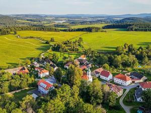 Prodej vícegeneračního domu, Horní Planá, 620 m2