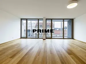 Pronájem bytu 4+kk, Praha - Smíchov, Holečkova, 178 m2