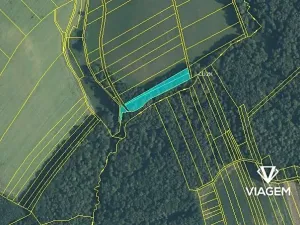 Prodej podílu lesa, Malhotice, 1965 m2