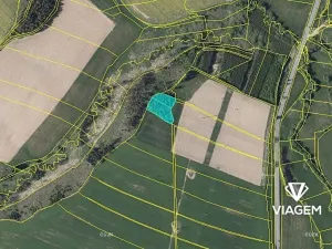 Prodej podílu lesa, Suchá, 1564 m2