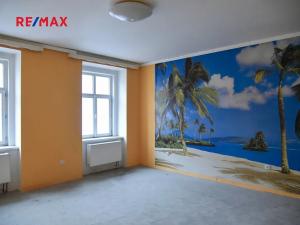 Prodej rodinného domu, Nový Bydžov, Třída Čsl. armády, 368 m2