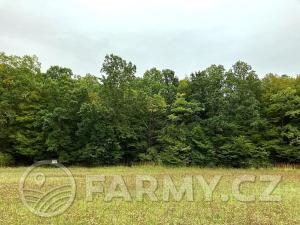 Prodej podílu pole, Dolní Roveň, 62359 m2