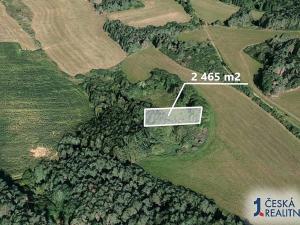 Prodej podílu lesa, Chanovice, 1232 m2