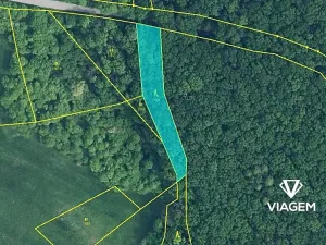 Prodej podílu lesa, Bačalky, 626 m2