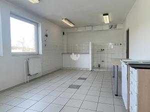 Pronájem obchodního prostoru, Praha - Hrdlořezy, Českobrodská, 300 m2