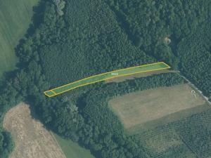 Prodej pole, Police, 51014 m2