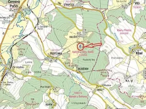 Prodej podílu lesa, Švihov, 220 m2