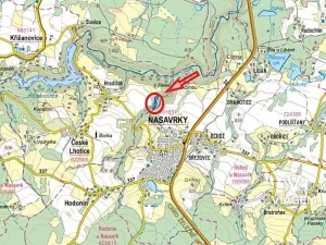 Prodej podílu lesa, České Lhotice, 7146 m2