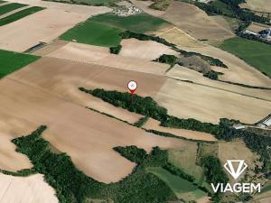 Prodej podílu lesa, Ivančice, 443 m2