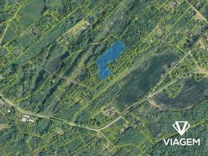 Prodej podílu lesa, Doubrava, 8873 m2