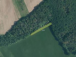 Prodej pole, Lažany, 11921 m2