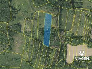 Prodej lesa, Nalžovské Hory, 6708 m2