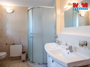 Prodej rodinného domu, Střelské Hoštice - Sedlo, 350 m2