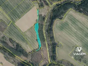 Prodej podílu lesa, Doksy, 4410 m2