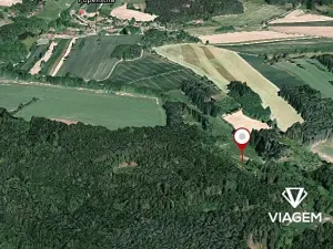 Prodej lesa, Červená Řečice, 1252 m2