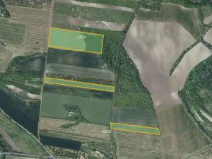 Prodej sadu/vinice, Želkovice, 133318 m2