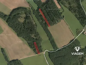 Prodej podílu lesa, Bojkovice, 2789 m2