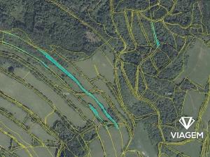 Prodej podílu lesa, Zubrnice, 2835 m2