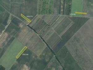 Prodej pole, Hrušky, 15254 m2